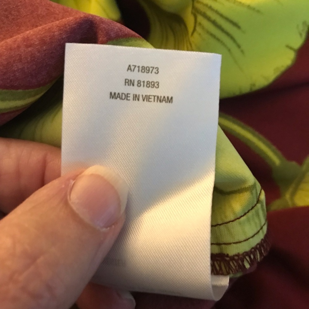 Carla Rockmore NWOT Maxi Dress Exotic Black Cherry Lime 2XP Feminine Chic Silky - Picture 7 of 7